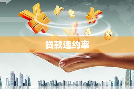 扬中贷款违约率