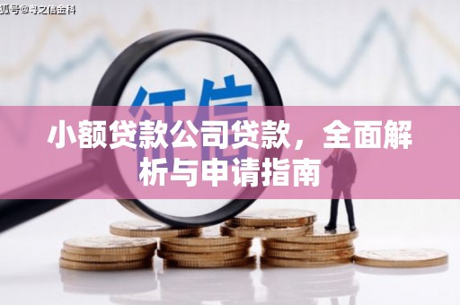 扬中小额贷款公司贷款，全面解析与申请指南