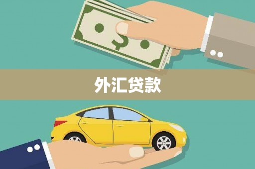 扬中外汇贷款