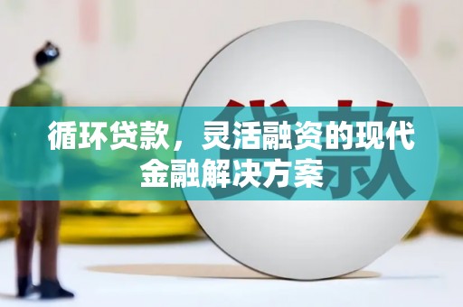扬中循环贷款，灵活融资的现代金融解决方案