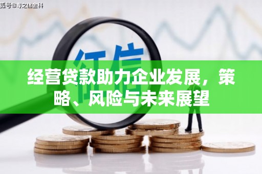 扬中经营贷款助力企业发展，策略、风险与未来展望