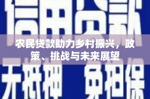 扬中农民贷款助力乡村振兴，政策、挑战与未来展望