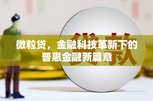 扬中微粒贷，金融科技革新下的普惠金融新篇章