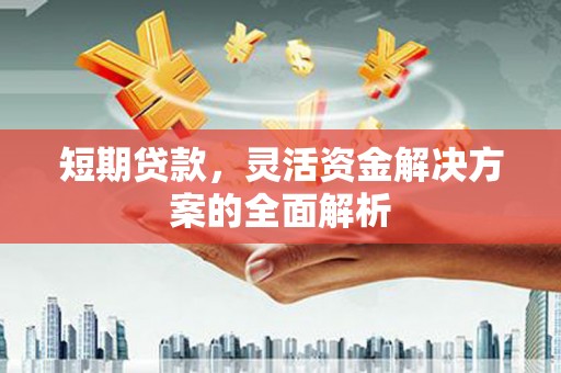 扬中短期贷款，灵活资金解决方案的全面解析
