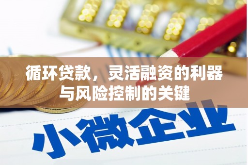 扬中循环贷款，灵活融资的利器与风险控制的关键