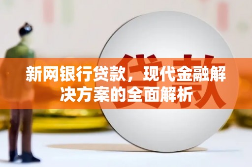 扬中新网银行贷款，现代金融解决方案的全面解析