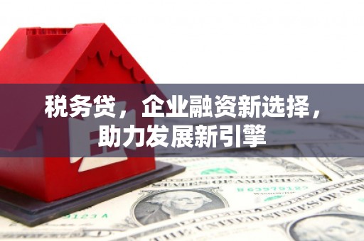 扬中税务贷，企业融资新选择，助力发展新引擎