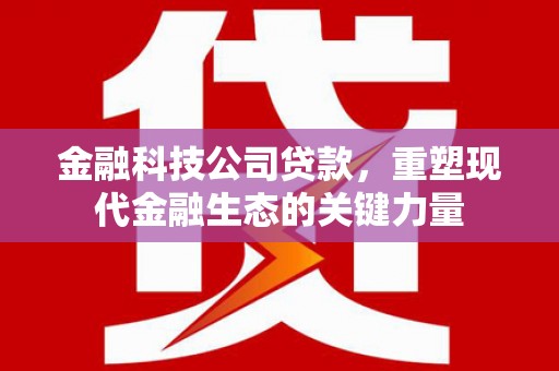 扬中金融科技公司贷款，重塑现代金融生态的关键力量