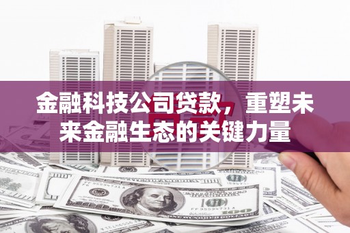 扬中金融科技公司贷款，重塑未来金融生态的关键力量
