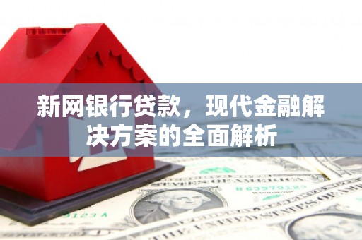 扬中新网银行贷款，现代金融解决方案的全面解析