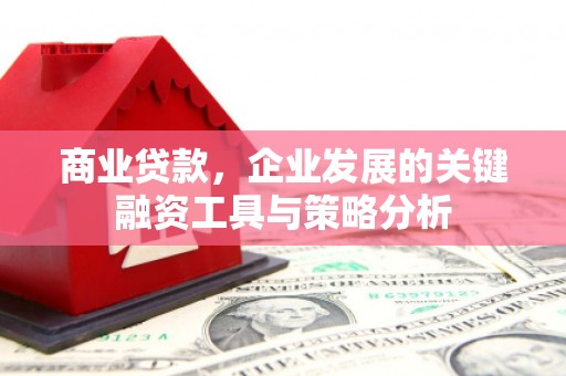 扬中商业贷款，企业发展的关键融资工具与策略分析