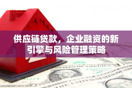 扬中供应链贷款，企业融资的新引擎与风险管理策略