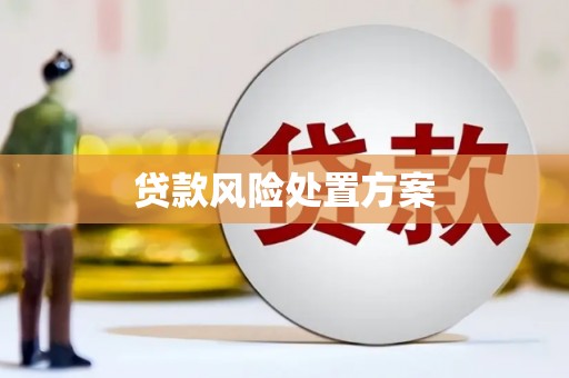 扬中贷款风险处置方案
