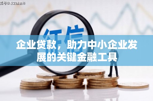 扬中企业贷款，助力中小企业发展的关键金融工具