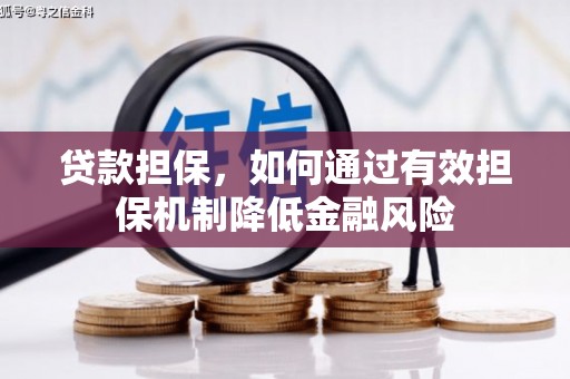 扬中贷款担保，如何通过有效担保机制降低金融风险