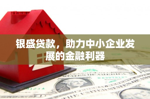 扬中银盛贷款，助力中小企业发展的金融利器