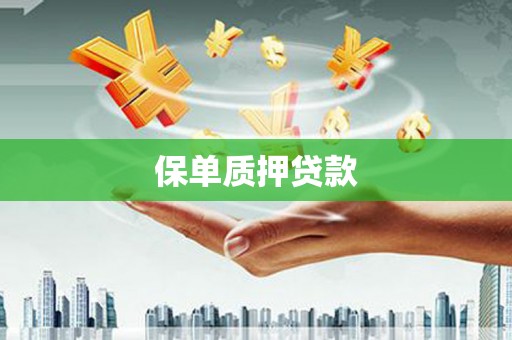 扬中保单质押贷款