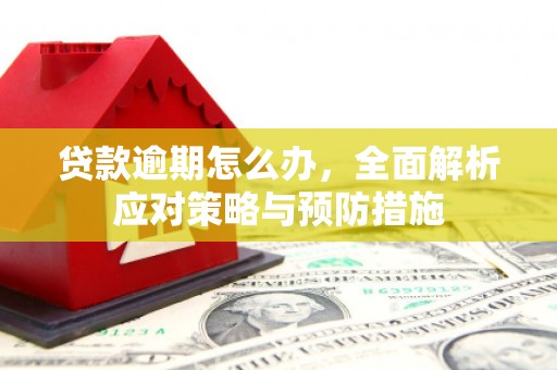扬中贷款逾期怎么办，全面解析应对策略与预防措施