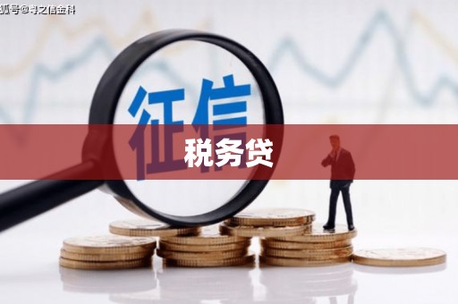 扬中税务贷
