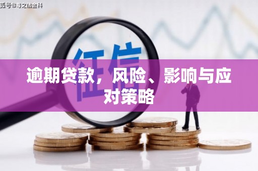 扬中逾期贷款，风险、影响与应对策略