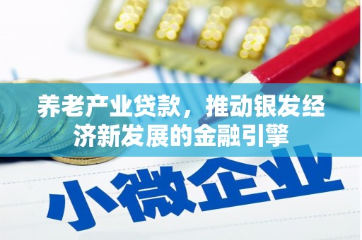 扬中养老产业贷款，推动银发经济新发展的金融引擎
