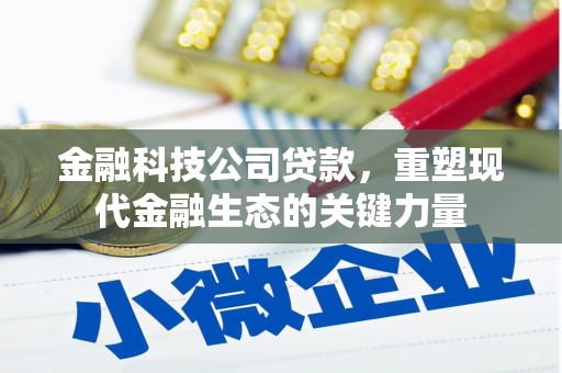 扬中金融科技公司贷款，重塑现代金融生态的关键力量