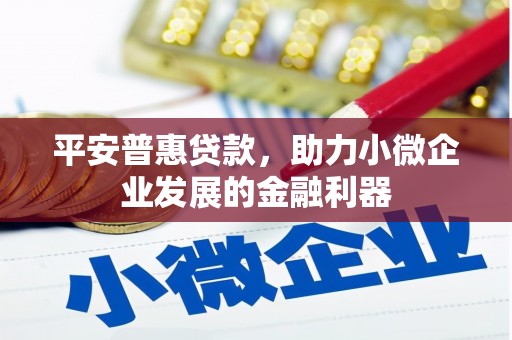 扬中平安普惠贷款，助力小微企业发展的金融利器