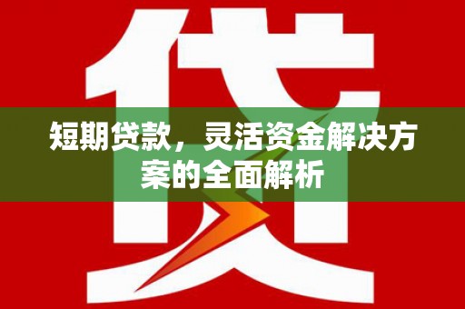 扬中短期贷款，灵活资金解决方案的全面解析