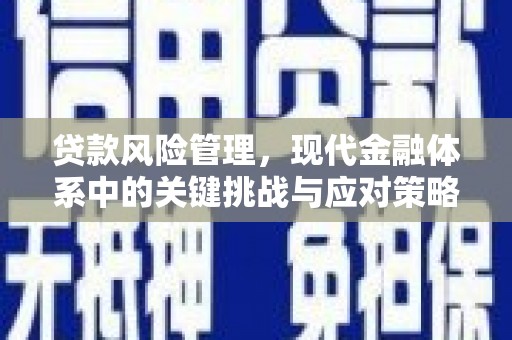 扬中贷款风险管理，现代金融体系中的关键挑战与应对策略
