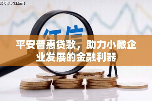 扬中平安普惠贷款，助力小微企业发展的金融利器
